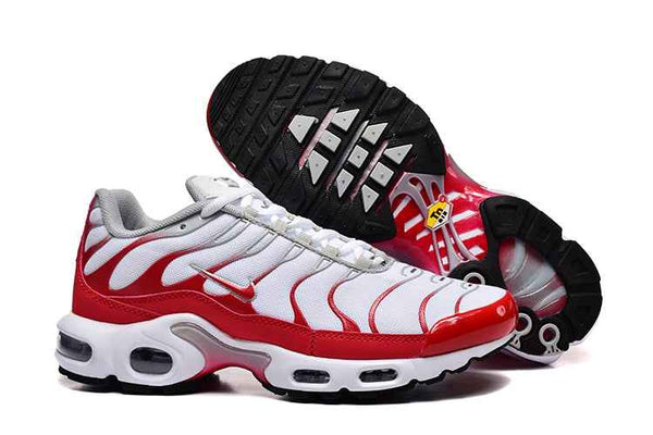 Nike Air Max Plus TN - Sneakito