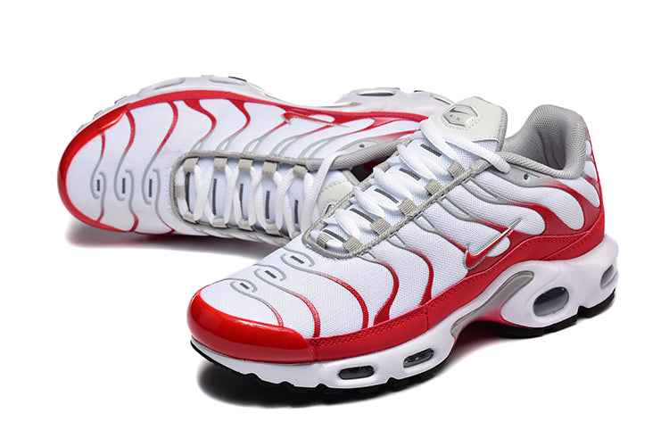 Nike Air Max Plus TN - Sneakito