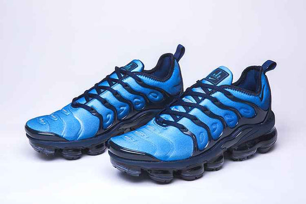 Nike Air Vapor-Max Plus - Sneakito